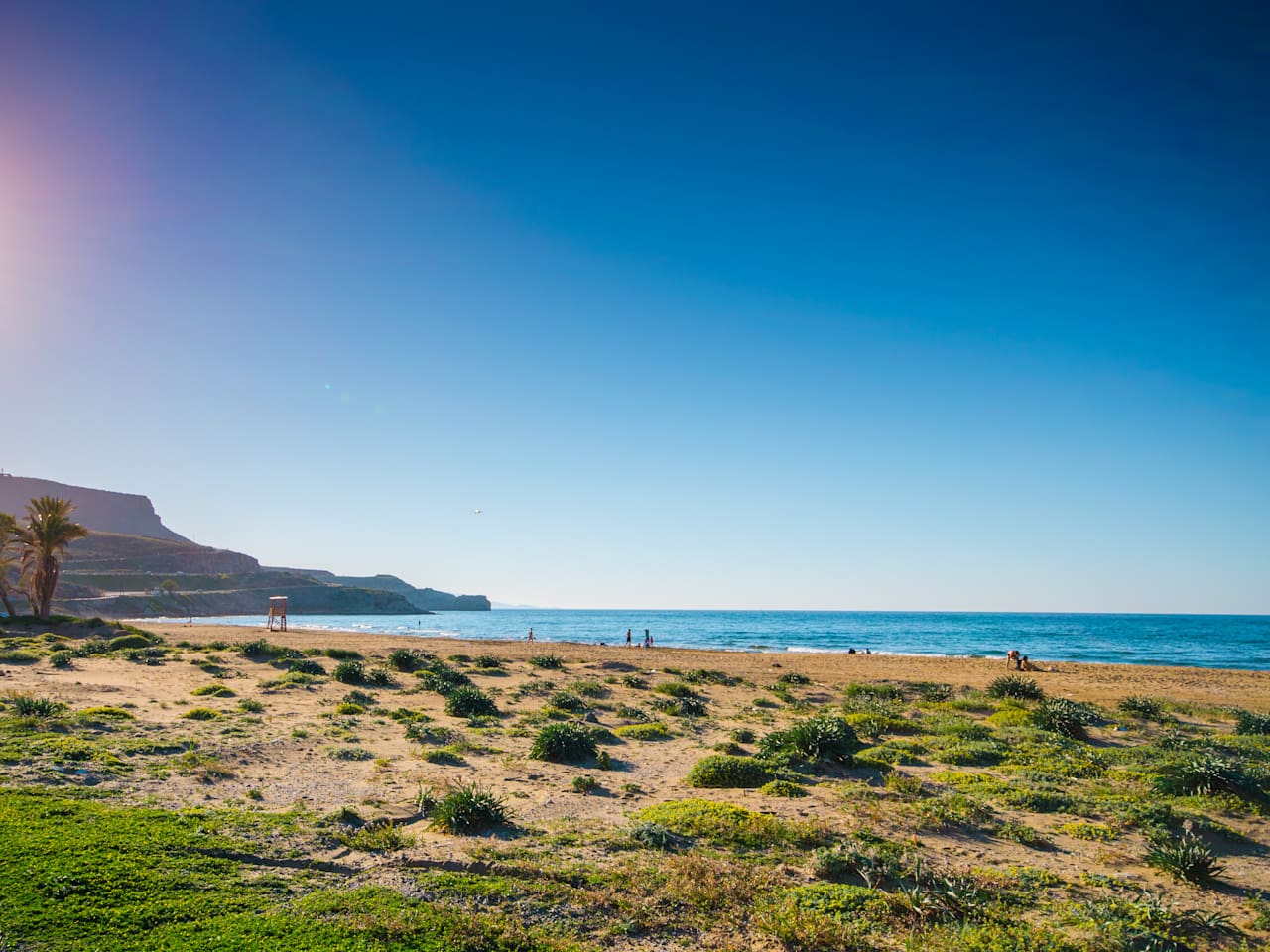 Ein Strand mit Palmen an türkisem Wasser